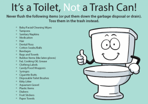 Don't Flush These Items